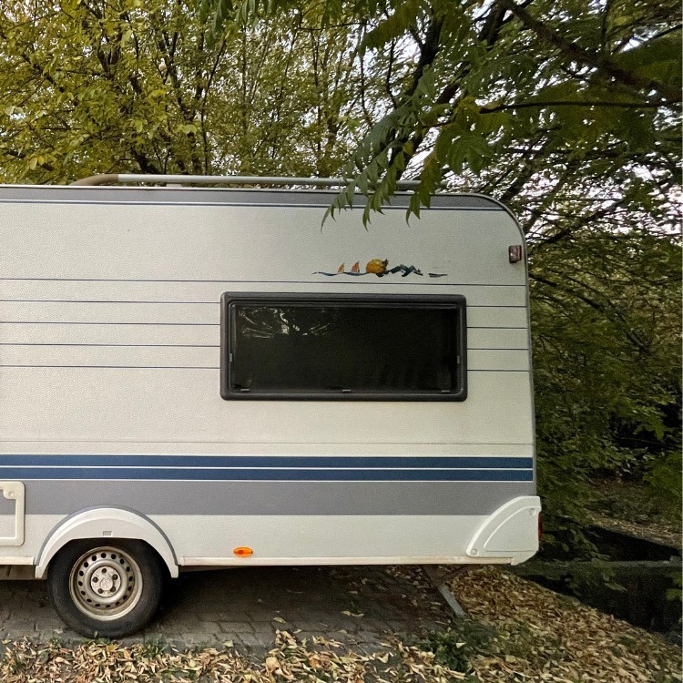 Tinting services in Fort Myers, FL